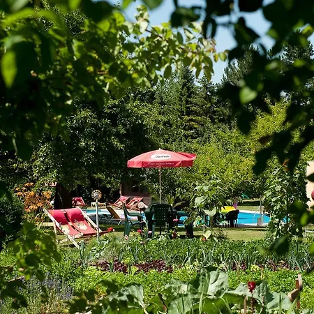 Hotel Zollner Gödersdorf