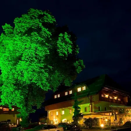 Hotel Zollner 4*